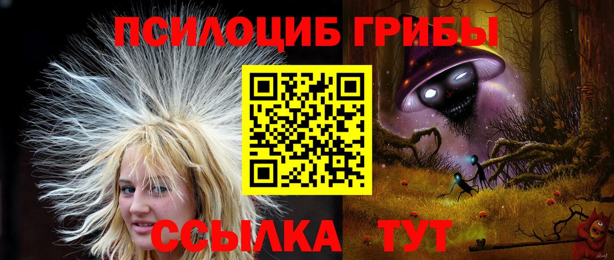 Химки  Галлюциногенные грибы Psilocybine cubensis  Вход с VPN 