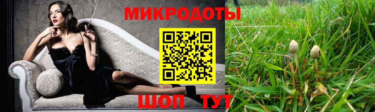Псилоцибиновые грибы Psilocybe Химки